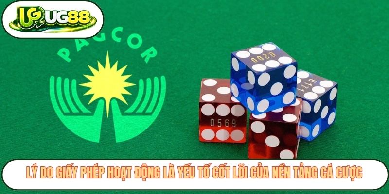 ly do giay phep hoat dong la yeu to cot loi cua nen tang ca cuoc