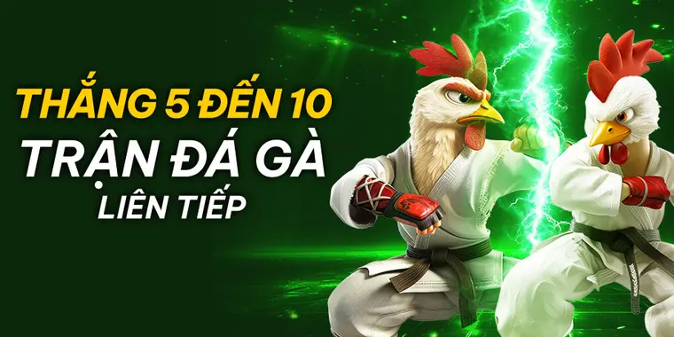 Promotion cockfight win