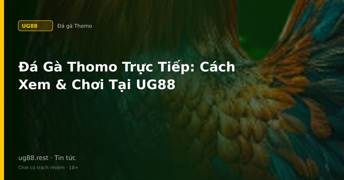 Đá gà Thomo trực tiếp — hướng dẫn xem và tham gia tại UG88