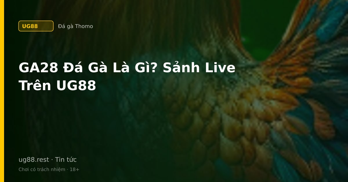 Sảnh GA28 - Đặc Điểm, Loại Cược Và Nhà Cái Tích Hợp